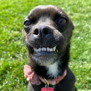 Meet your Posher, Mindy